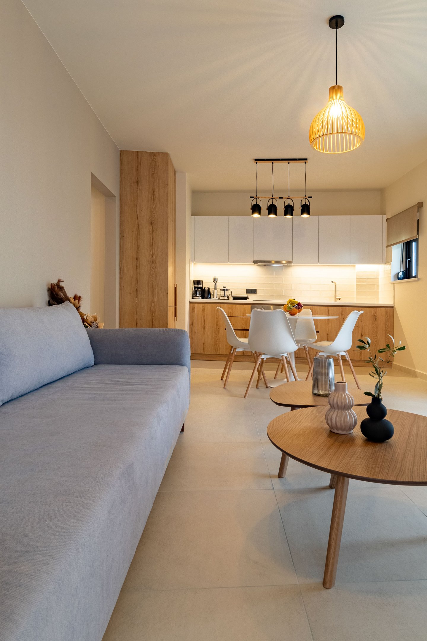 OliveVine 5 interior